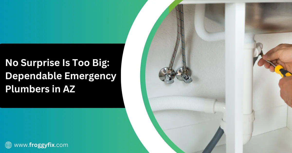 No Surprise Is Too Big Dependable Emergency Plumbers in AZ